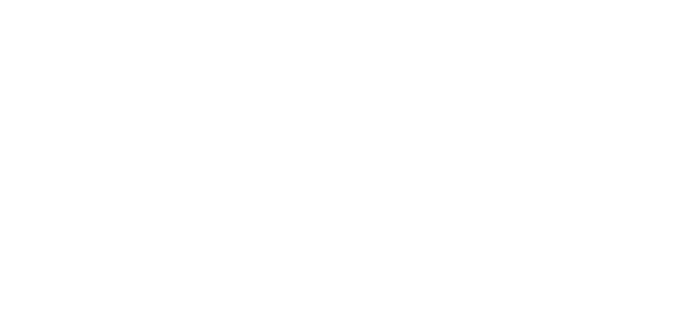 Slimeflip